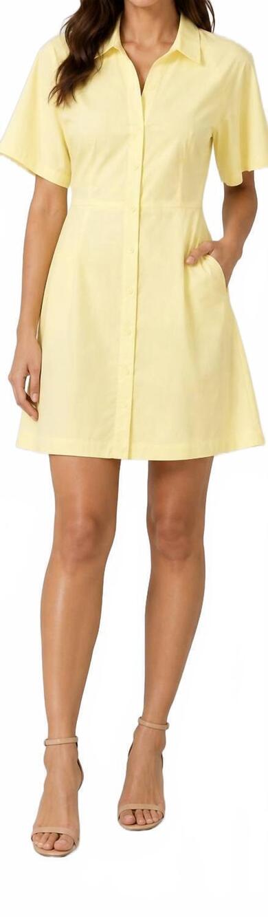 NEW THEORY pleated shirt dress in golden haze